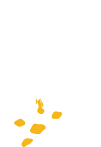 Bird droppings